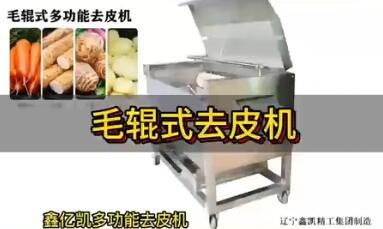 毛辊式去皮机
