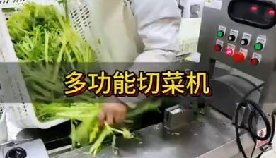 多功能切菜机