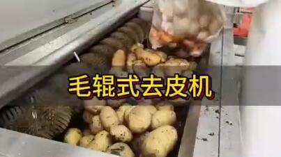 毛辊式去皮机2