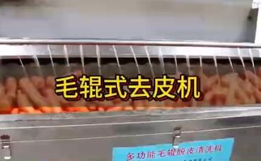 毛辊式去皮机1